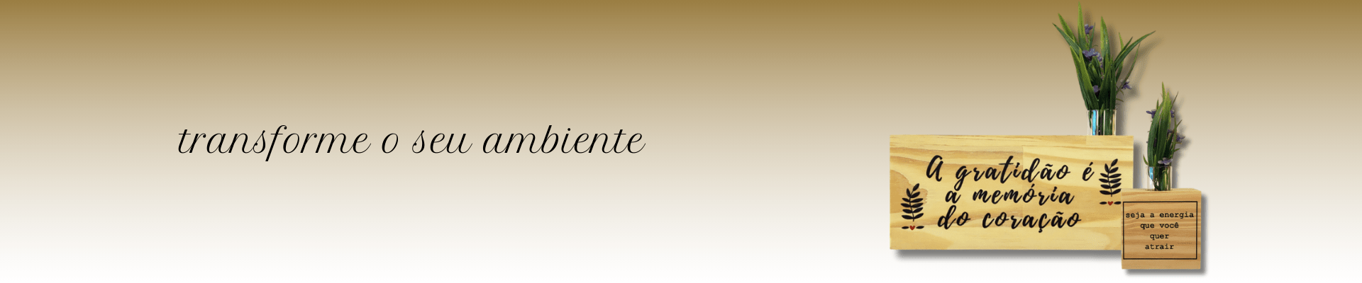 Placas Decorativas